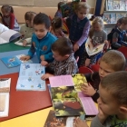 Zerówka w bibliotece